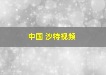 中国 沙特视频